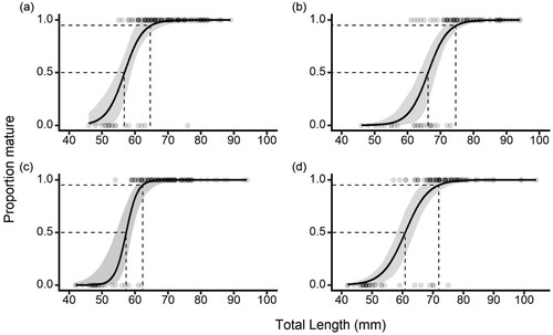 Figure 7. Length at maturity curves for Galaxias maculatus for A, Kakanui River males, B, Kakanui River females, C, Waikouaiti River males, and D, Waikouaiti River females. Dashed lines indicate the lengths at 50% and 95% maturity, shaded bands represent 95% confidence intervals. Points represent the individual fish length and maturity data used in each logistic regression. Curves fitted as (a) P=1/1+e−(−20.51+0.36x), (b) P=1/1+e−(−22.36+0.34x), (c) P=1/1+e−(−33.64+0.59x), (d) P=1/1+e−(−16.18+0.27x).