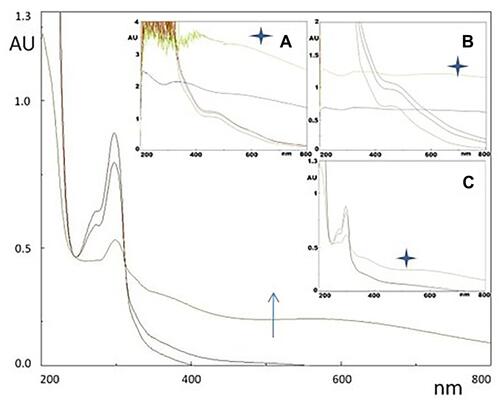 Figure 4 UV-vis profiles of DHI (6 mg/100 mL pH 7.0) autoxidation (arrow denotes time progress, stars denote 24 h reaction time) along the process of melanin pigment formation. The broad maximum at around 600 nm denotes melanochrome formation. In the insets, the same process is monitored in presence of A) AMS formulation (0.6 mg/100 mL), C) quercetin (0.6 mg/100 mL) as an internal antioxidant control, and B) plot is the blank.