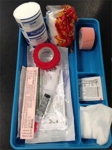 Figure 1. Pre-prepared intravenous catheter tray