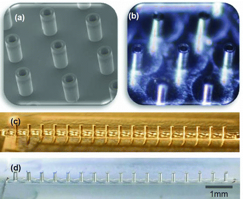 FIG. 2 (a) Si planar nozzles, (b) Al planar nozzles, (c) brass LINES, and (d) polycarbonate LINES. Nozzles have 120 μm OD, 50 μm ID, 300 μm height, and 500 μm pitch. (Color figure available online.)