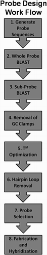 Figure 4.  Procedural flowchart of maskless probe design.