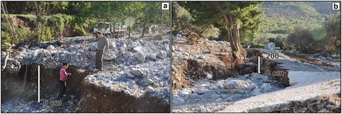Figure 5. Main features of the alluvial fans reactivated in the eastern sector; (a) detail of a depositional and erosional area; (b) deep vertical incision along the roads from the mountain.