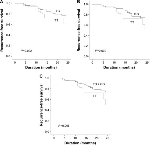 Figure 1 Kaplan–Meier curve for influence of MDM2 SNP309 T>G polymorphism on risk of recurrence in NMIBC patients.