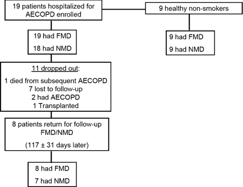 Figure 1  Study design: 19 patients were enrolled in the study at time of AECOPD admission. All 19 had FMD but 1 patient was unable to receive sublingual nitroglycerin secondary to systolic blood pressure below 100 mmHg. Then, 11 patients did not return for repeat FMD or NMD because 7 were lost to follow-up, 2 had repeat AECOPD, 1 was transplanted and 1 died. Eight of the remaining patients had FMD. One patient was unable to have NMD at follow up due to systolic blood pressure <100 mm Hg. Definition of abbreviations: AECOPD (acute exacerbation of COPD), FMD (Flow-mediated dilation), NMD (Nitroglycerin-mediated dilation).