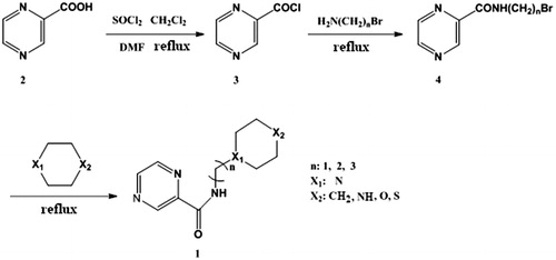 Figure 2. Synthetic route of pyrazinamide derivatives.