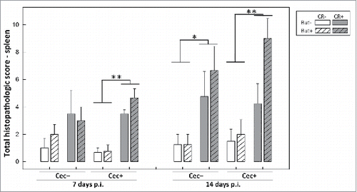 Figure 10. Histopathological scores of spleen tissues from mice that received sham (Cec-) or cecectomy (Cec+) surgeries, were orally administered PBS (CR-) or Citrobacter rodentium (CR+), and received enemas containing PBS (But-) or butyrate (But+). Data is shown 7 and 14 days after administration of C. rodentium or PBS. Vertical lines associated with histogram bars represent standard error of the means (n = three to five mice/treatment). *P ≤ 0.050, **P ≤ 0.010. The maximum possible score is 12.