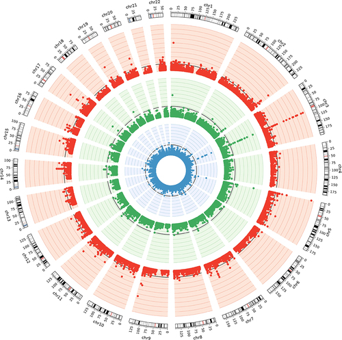 Figure 1. Circos plot for epigenome-wide association studies of SDOH factors among survivors of European ancestry.