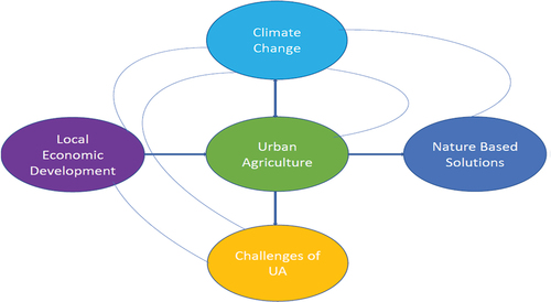 Figure 1. Urban agriculture, local economic development, and climate change linkages.
