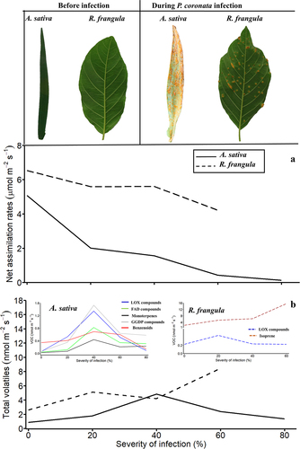 Figure 1. Changes in leaf light-saturated net assimilation rate (A) and total volatile emission (B) in the primary host, the annual grass Avena sativa, and the alternate host, the shrub R. frangula, under different severity of the crown rust Puccinia coronata infection. The insets in (B) show the severity-dependent emissions of different volatile groups including short-chained lipoxygenase (LOX) pathway compounds, methyl jasmonate (MeJA), long-chained saturated fatty acid-derived (FAD) compounds, monoterpenes, geranylgeranyl diphosphate pathway (GGDP) compounds and benzenoids in A. sativa and R. frangula. The severity of infection was quantified as the percentage of the total chlorotic and necrotic area of the leaf.