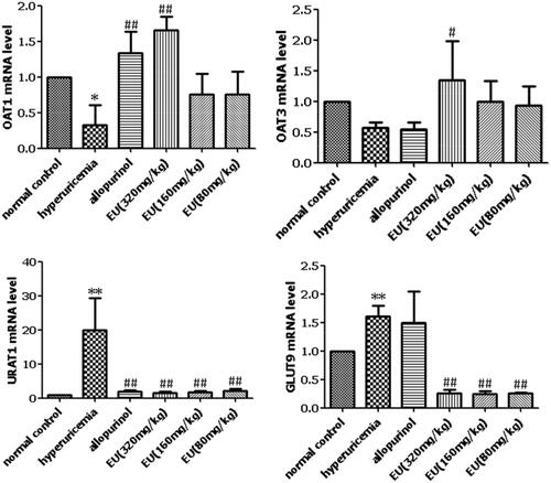 Figure 4. Effects of EU on the mRNA expression of OAT1, OAT3, URAT1 and GLUT9 in hyperuricemia mice. *p < 0.05,**p < 0.01 as compared to the normal control; #p < 0.05, ##p < 0.01 as compared to the hyperuricemia group.