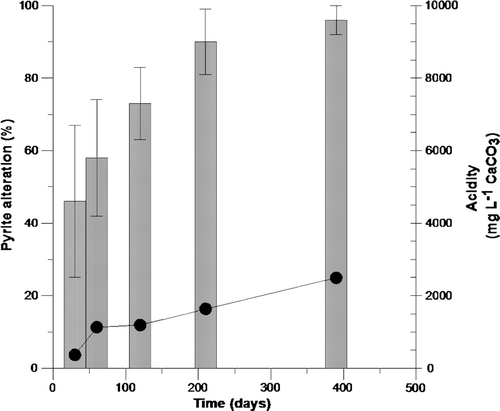 Fig. 10  Framboidal pyrite alteration (bar graph) versus cumulative acid release (line graph) for BCM mudstone during the humidity cell experiment.