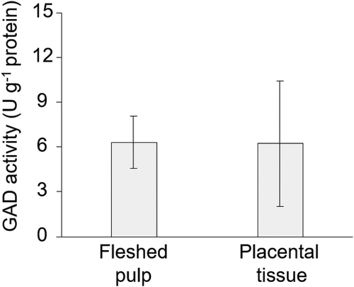 Figure 4. Comparison of glutamic acid decarboxylase (GAD) activity in fleshed pulp and placental tissue.The mean values were obtained from 12 muskmelons, and the data are shown as the mean ± S.D.