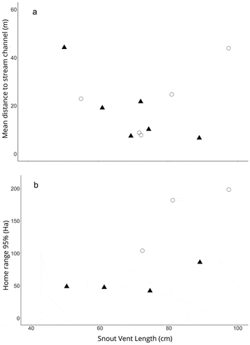 Figure 6. Relationship between snout-vent length (cm) and (a) mean distance (m) individuals moved away from the main stream channel and (b) entire home-range size (ha) estimated using Kernel Density Estimates for Paleosuchus palpebrosus (circles) and Paleosuchus trigonatus (triangles). Each point represents an individual.