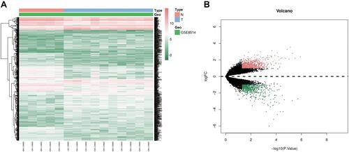 Figure 4 (A) Heatmap and (B) Volcano plot of differentially expressed genes from GSE8514. Red represents upregulated differentially expressed genes; green represents downregulated differentially expressed genes.