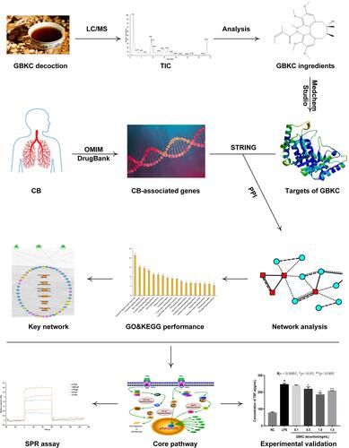 Figure 1 Experimental design and schematic diagram of the workflow of this study.