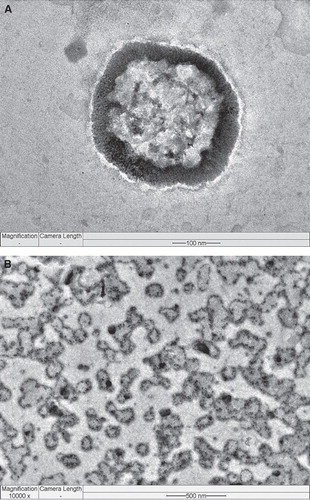 Figure 2. Field-emission transmission electron microscopy (FETEM) image of (A) an individual QDs-loaded TPGS-coated liposome in 100 nm scale and (B) multiple QDs-loaded TPGS-coated liposomes after the storage in 500 nm scale.