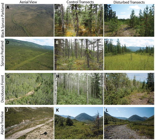FIGURE 2. Photos of characteristic vegetation communities of each terrain type: (A–C) black spruce parkland, (D–F) spruce peatland, (G–I) deciduous forest, and (J–L) alpine treeline. Aerial views of the terrain types are in the left column, photos of the control transects are in the middle column, and photos of disturbed transects are in the right column.