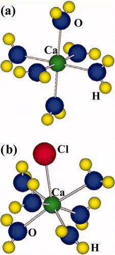 Figure 11. The optimized structures of (a) [Ca2+(H2O)6] and (b) [Ca2+(H2O)6Cl−].