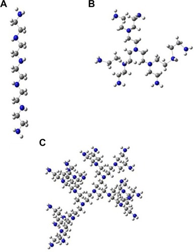 Figure 37 Examples of polyethylenimine molecules: linear (A); branched (B) and dendrimer (C).Citation216,Citation217*Note: Data from Szefler et al.Citation216,Citation217