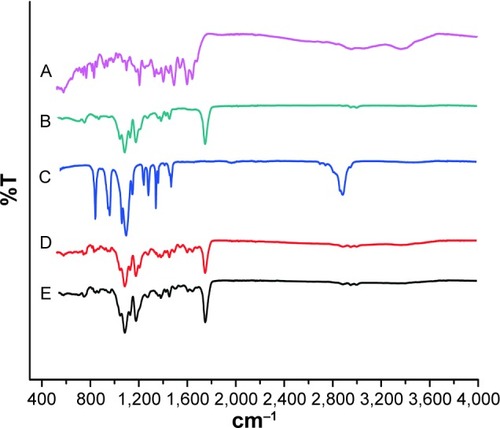 Figure 4 FTIR spectra of (A) MTX, (B) PLGA, (C) PEG4000, (D) physical mixture of MTX, PLGA, and PEG4000, and (E) MTX-loaded implants.