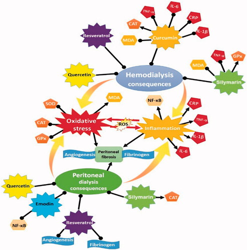 Figure 1. The underlying mechanisms of natural antioxidants against HD and PD consequences.