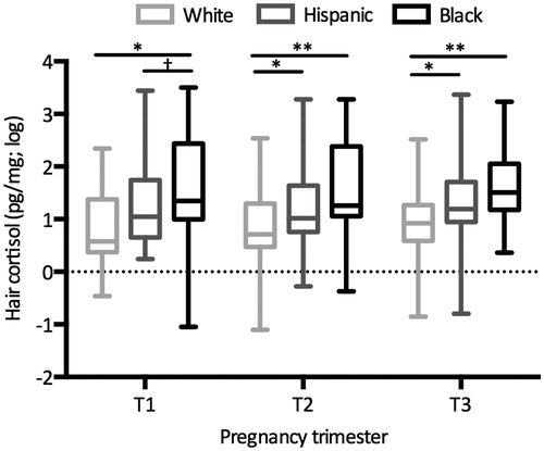 Figure 2. Maternal hair cortisol by pregnancy trimester and race/ethnicity. Hair cortisol varied significantly as a function of race/ethnicity during all pregnancy trimesters. Boxplots display full range of scores. Black women had significantly higher hair cortisol levels than White but not Hispanic women during all trimesters. Hispanic women had marginally higher hair cortisol levels than White women during the first trimester and significantly higher hair cortisol levels during the second and third trimesters. †p < 0.10, *p < 0.05, **p < 0.01.
