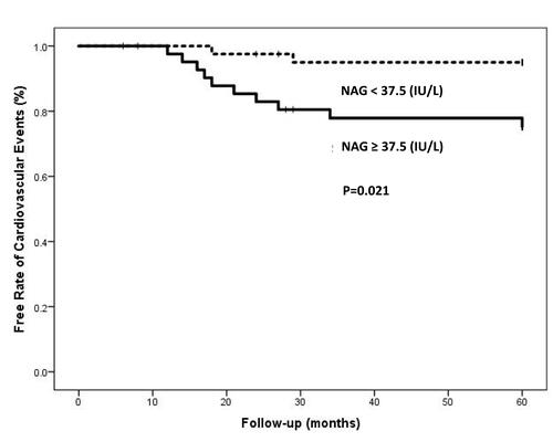Figure 1 Kaplan–Meier analysis for cardiovascular events free stratified by urine NAG.