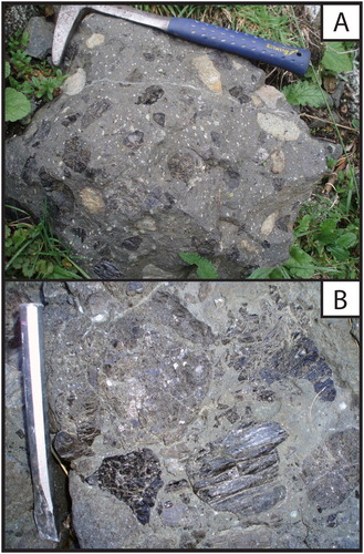 Figure 2. A, Field photo of light-grey MOA-16 lamprophyre sample from the WDS, first presented in van der Meer et al. (Citation2013). Abundant visible mantle xenoliths (light brown) and amphibole megacrysts (black). B, Field photo from the Fish River locality in the ADS with a 15 cm long chisel for scale. The photo shows a grey-green ultramafic lamprophyre with abundant amphibole megacrysts and mantle xenoliths.