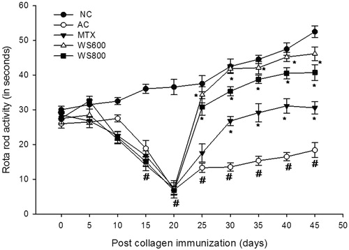 Figure 11. Rota rod activity of rats from day 0 to the 45th day post collagen immunization. NC: normal control, AC: arthritic control, MTX: methotrexate (0.3 mg kg−1), WS 600; W. somnifera (600 mg kg−1), WS 800: W. somnifera (800 mg kg−1) treated rats with ± SEM, N = 6, *p < 0.05 versus AC, #p < 0.05 versus NC.