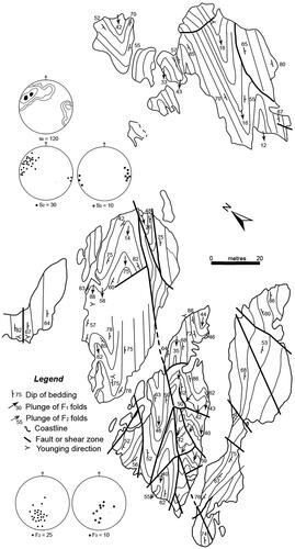 Figure 8. Map showing the spatial variation of fold geometry and non-cylindricity in a dominantly sandstone sequence at Secret Beach. The southwestern outcrops are only accessible at low tide and northeast outcrops are islands. The collapsed tight to isoclinal abutting hinges of the major F2 folds are most likely formed by migration of shale and bedding-parallel thrusts, which induced greater variation of hinge plunge and is accompanied by a localised development of an S3 crenulation cleavage. The limb parallel faults comprise high-angle thrust faults infilled with brecciated quartz accompanied by marked changes in younging directions and are overprinted by oblique sub-vertical quartz-filled strike-slip faults. The stereonets illustrate the variation of the F2 and F3 fold plunges. Contour intervals for bedding (S0) are 0.5, 3, 5 and >10% per 1% area.