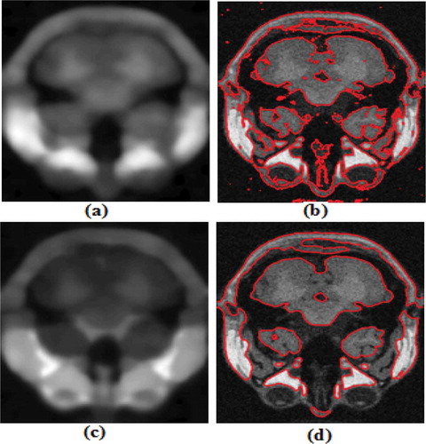 Figure 5. Results of the proposed method and C. Li et al. (Citation2011) on a noisy MRI image. (a, b) Bias field & final contour using Li’s method (c, d) Bias field & final contour using the proposed method.