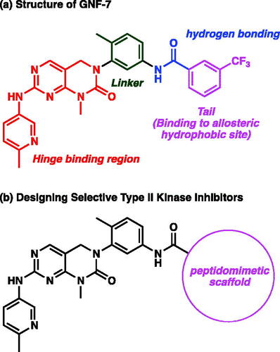 Figure 1. (a) Structure of GNF-7. (b) Designing selective type II kinase inhibitors with peptidomimetic scaffolds.