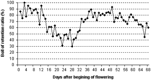 Figure 3. Daily boll retention ratio during the production stage (68 days) in the first season (I) for the Egyptian cotton cultivar Giza 75 (Gossypium barbadense L.) grown in uniform field trial at the experimental farm of the Agricultural Research Centre, Giza (30° N, 31°: 28′ E at an altitude 19 m), Egypt.