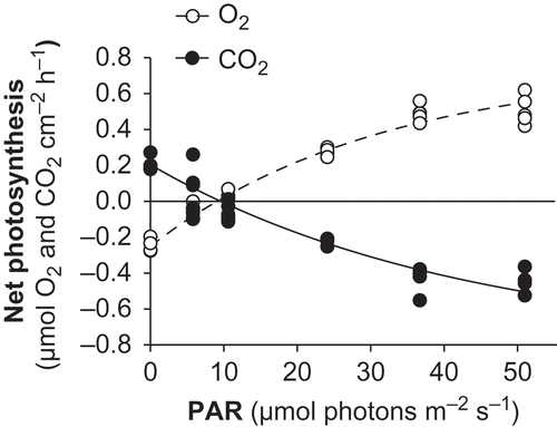 Figs 5. Net photosynthesis versus irradiance curves for Lithophyllum cabiochae in May 2006. Data are means ± SE (n = 5).