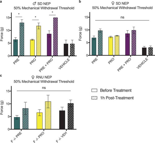 Figure 11. Male rat models of sciatic cuff–induced neuropathic pain showed an increase in ipsilateral paw withdrawal thresholds 1 h posttreatment with pregabalin, progesterone, or a combination at postsurgical week 1. This acute response to treatment was not seen in female immunocompetent or immunocompromised neuropathic pain model animals