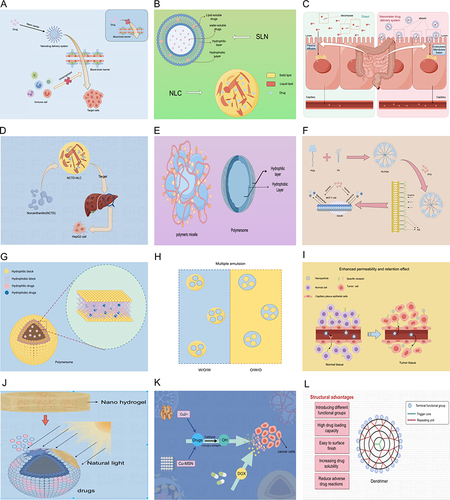 Figure 2 The Basic Principles of Nanodrug Delivery Systems. (A) Working Principles of Nanodrug Delivery Systems. (B) Two structures of liposomes:SLN and NLC. (C) The absorption process of nanodrug delivery systems using SLN as carriers to encapsulate TKIs in the gastrointestinal tract. (D) The advantages of NLC as a carrier for Northaritin. (E) Polymer micelles and vesicles. (F) FA-PGA-PTX micelles can selectively enter FR positive cancer cells through receptor mediated endocytosis. (G) Structural basis of hydrophobic and hydrophilic drugs encapsulated in polymer vesicles. (H) Multiphase nanoemulsion. (I) Enhanced permeability and retention effect. (J) Degradation of nano hydrogel under photochemical conditions. (K) Working Principle of Inorganic Nanocarriers. (L) The Structure and Advantages of Dendritic Polymers.