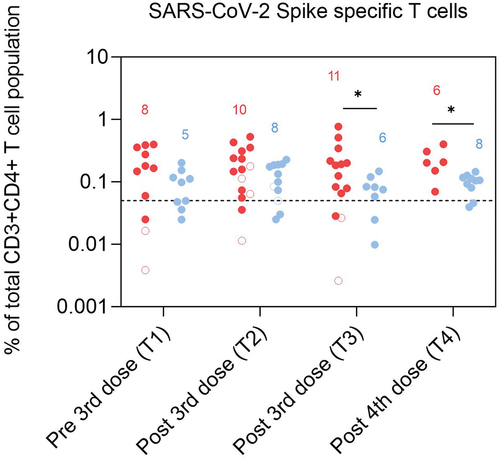 Figure 4. Frequencies of SARS-CoV-2 Spike specific T cells (CD3+CD4+CD154+) in dialysis patients (red) and controls (blue) presented as a proportion of CD3+CD4+ cells at T1 (1–2 months pre 3rd dose), T2 (1–3 months post 3rd dose), T3 (4–5 months post 3rd dose) and T4 (2–4 months post 4th dose). Number of participants included in the statistical analysis are indicated in the graph.