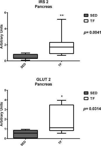 Figure 10 Pancreatic expression of genes related to insulin resistance between groups.