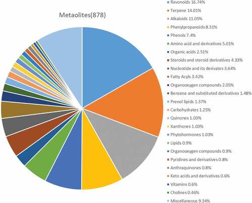 Figure 2. Composition of metabolites from Camellia oleifera fruits.