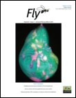 Cover image for Fly, Volume 8, Issue 3, 2014