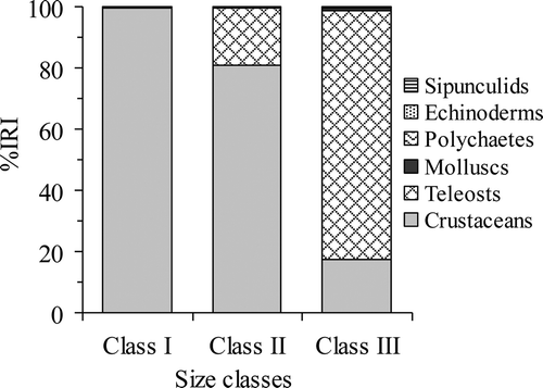 Figure 3. Raja radula. Composition of R. radula diet among size classes based on the percentage index of relative importance (% IRI) values of the major prey groups.