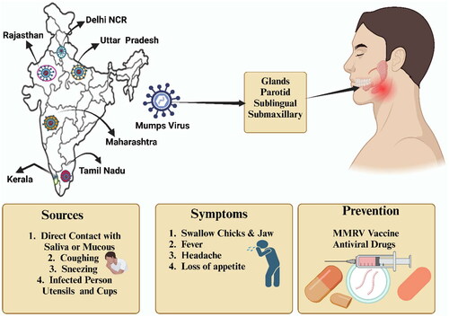Figure 1. Mumps Virus Cases in India and Strategies for Prevention.