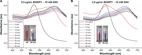 Figure S6 Ultraviolet-visible absorbance spectra for stability of gold nanoparticles conjugated with 0.5 and 2.0 μg/ml of BODIPY® in 10 mM glutathione. (samples show as prepared [AP] and in GSH after 60 minutes).Abbreviation: GSH, glutathione.