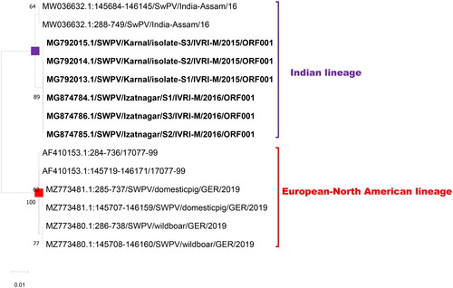Figure 4. Evolutionary relationships of ORF 001/ORF150 of Indian SWPV with the USA, and Germany SWPV isolates. The isolates of the current study are shown in bold letters.