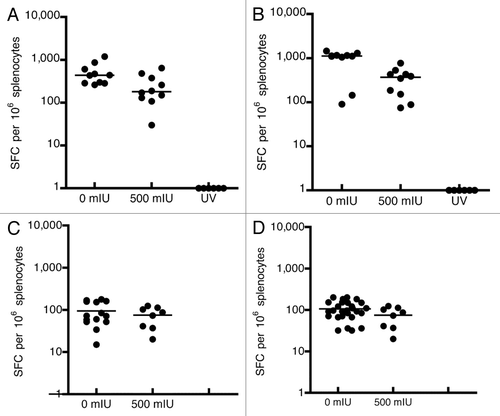 Figure 5. Cellular immune response against MV and the transgene, SIVgag. hCD46tg mice were given 0 or 500 mIU MV-nAb, one day prior to either i.m. or i.n. immunization with 1 × 105 pfu rMV-SIVgag. ELISPOTs were performed 2 weeks post immunization. Panels A and B represent the intramuscular (i.m.) immunization and the measurement of cellular immune response against MV-N (Panel A) and SIVgag (Panel B). Panels C and D represent the intranasal (i.n.) immunization and the measurement of cellular immune responses against MV-N (Panel C) and SIVgag (Panel D). The lines represent the median values.