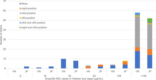 Figure 1 The distribution of cepA, cfxA, and cfiA in BFG strains in Vietnam and Japan based on MIC values for ampicillin.