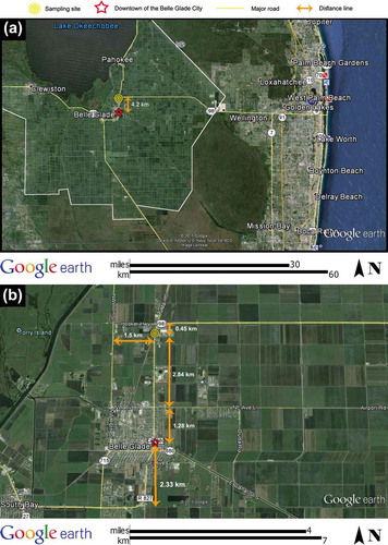 Figure 1. Study area in southwest Florida: (a) positioning of the sampling site and agricultural fields of Palm Beach County (sugarcane and agricultural fields are confined with white lines) and (b) major roads surrounding Belle Glade City and the sampling site.