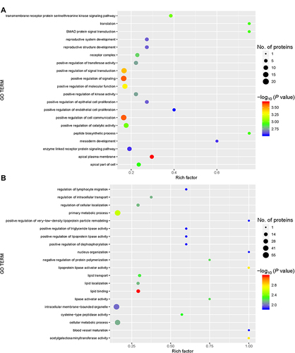 Figure 4 Gene ontology (GO) functional enrichment. Enriched GO terms and the associated numbers of proteins between the group with acute exacerbation of COPD and the healthy control group (A), and between the group with stable COPD and the healthy control group (B). The circle size represents the number of differentially expressed proteins in the GO term. The circle color indicates the -log10 P value representing the significant degree of enrichment.