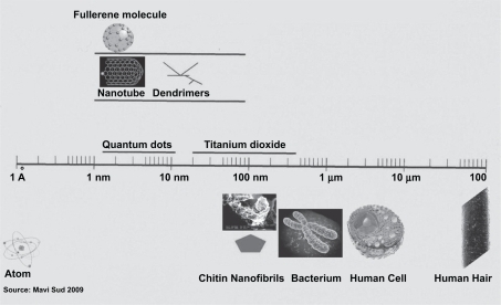 Figure 1 The nanometer dimension.