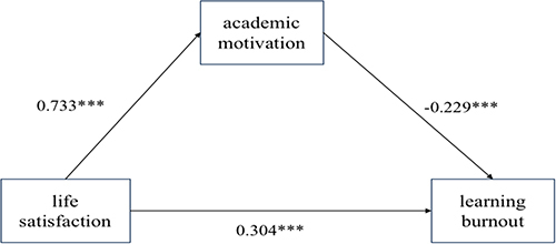 Figure 2 Intermediary model: effect size.